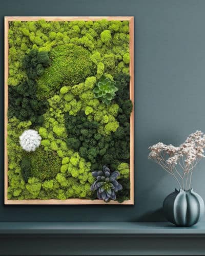 Framed vertical garden of moss to hang on bathroom wall. 
